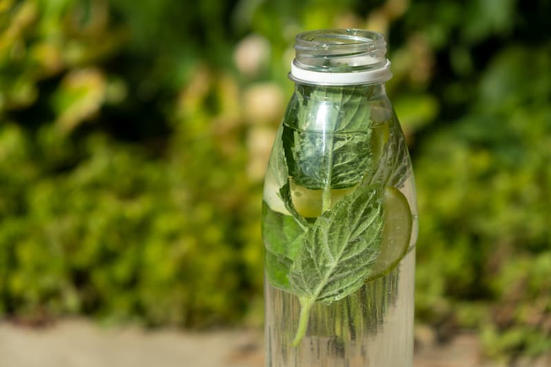 Água de Coco com Hortelã Refrescante