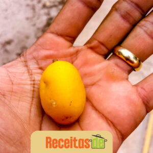 Suco Refrescante de Taperebá