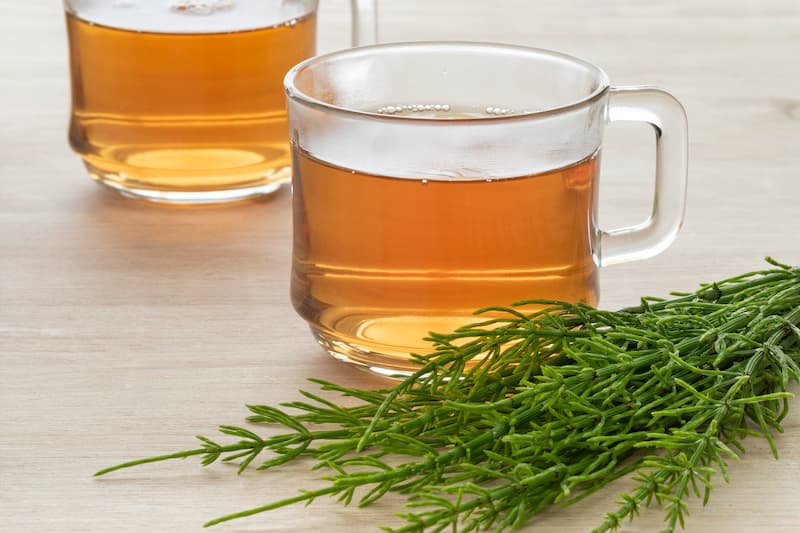 glas-cup-with-hot-field-horsetail-tea-2023-11-27-05-12-19-utc (1)